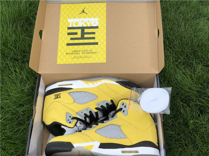 AIR JORDAN 5