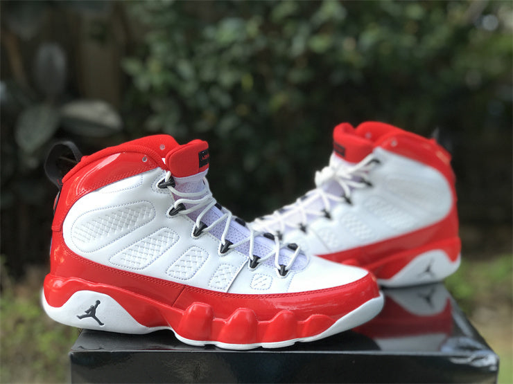 AIR JORDAN 9