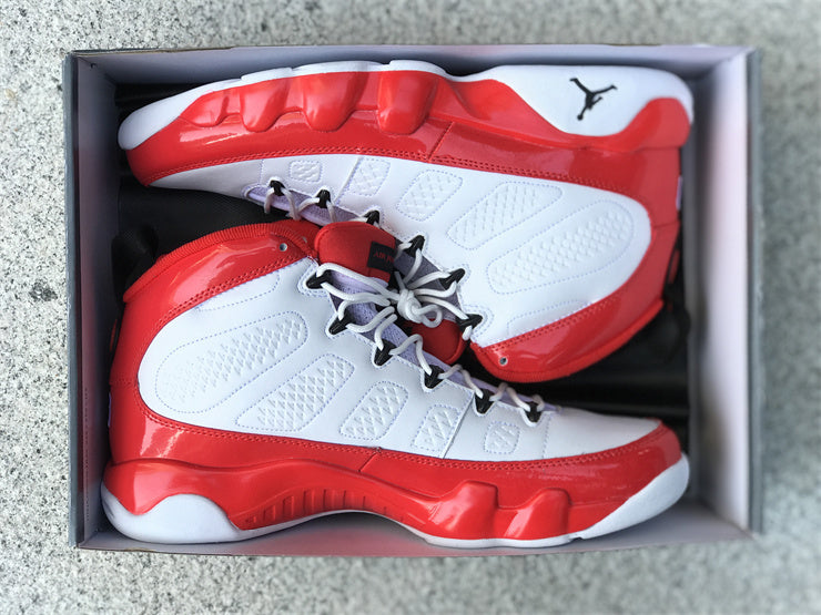 AIR JORDAN 9