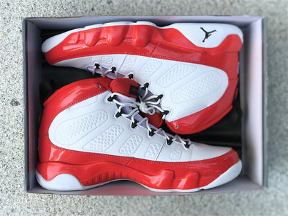 AIR JORDAN 9