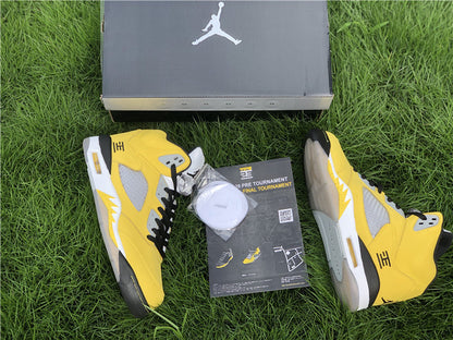 AIR JORDAN 5