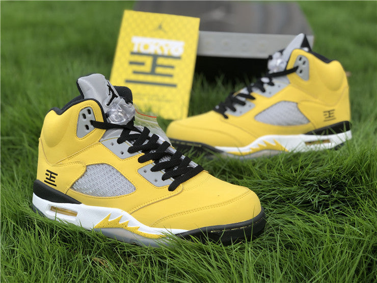 AIR JORDAN 5