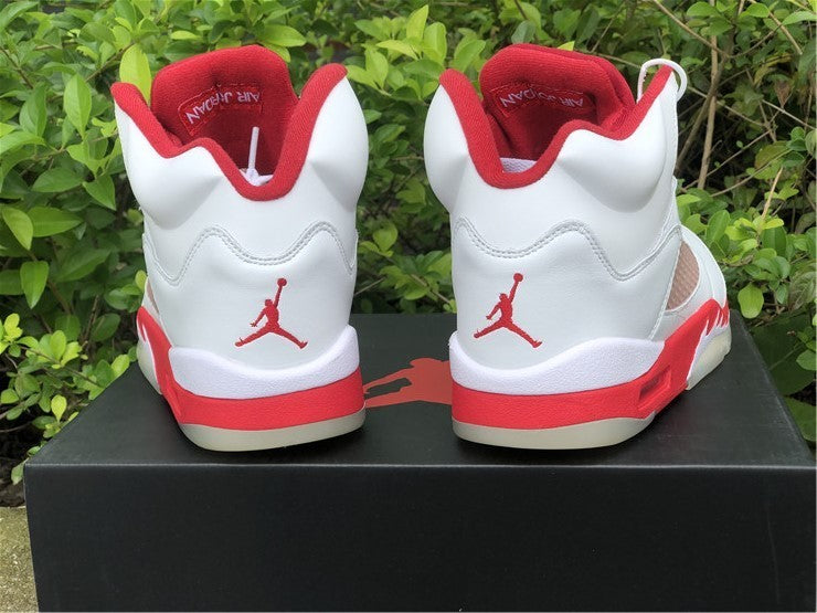 AIR JORDAN 5