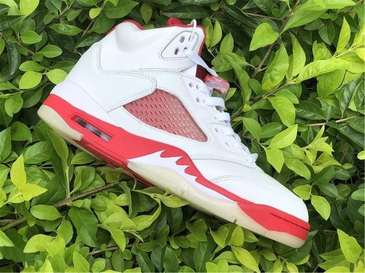 AIR JORDAN 5